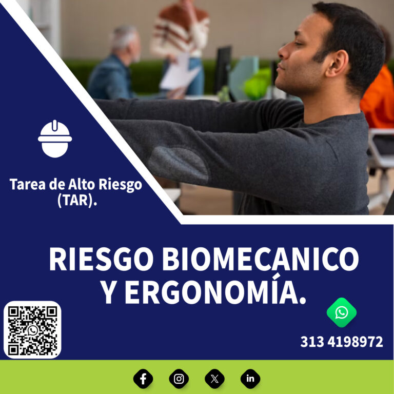Contenido SST-02