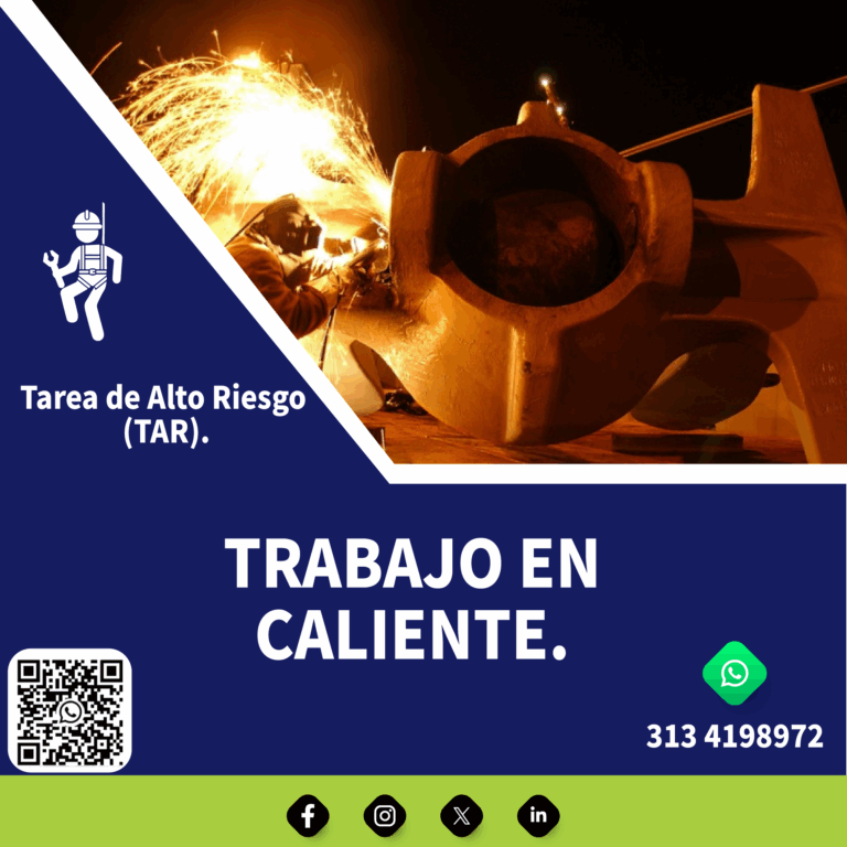 Contenido TAR-04